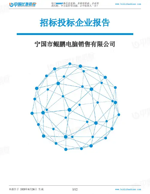 宁国市鲲鹏电脑销售有限公司-招投标数据分析报告