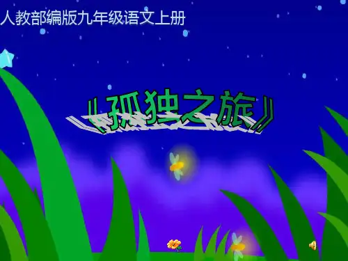 人教部编版九年级语文上册《孤独之旅》课件(共29张ppt)