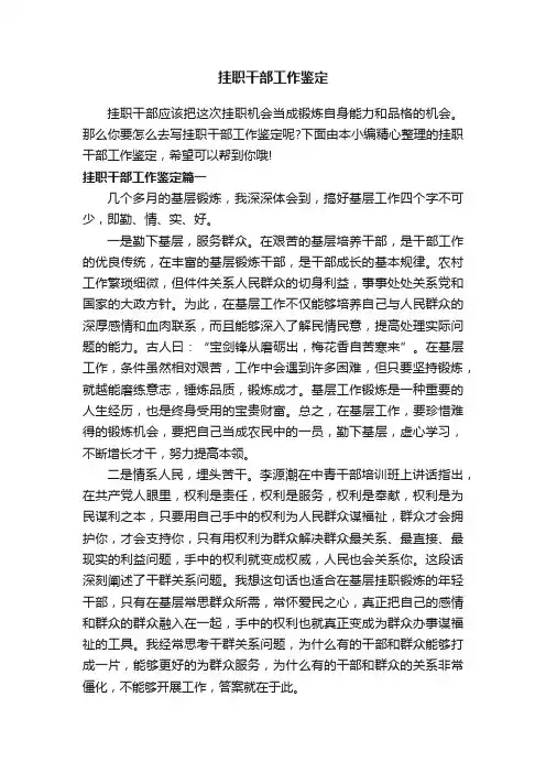 挂职干部工作鉴定