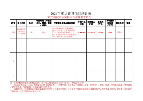 2024年重点建设项目统计表
