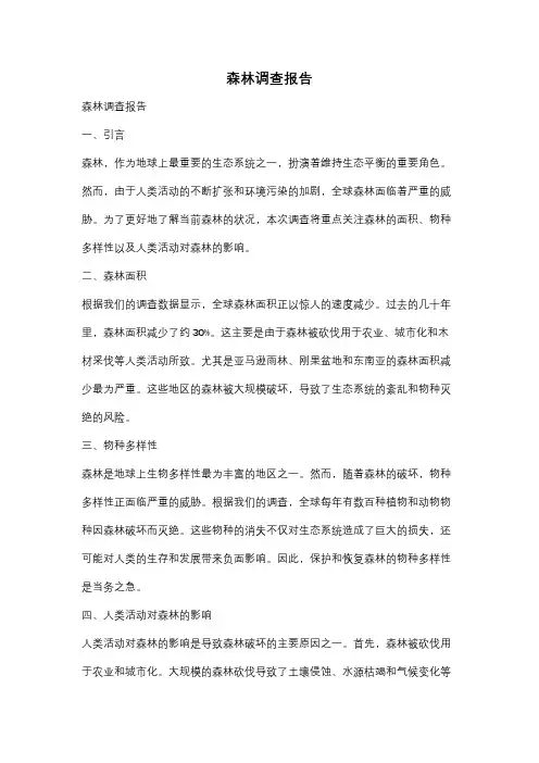 森林调查报告