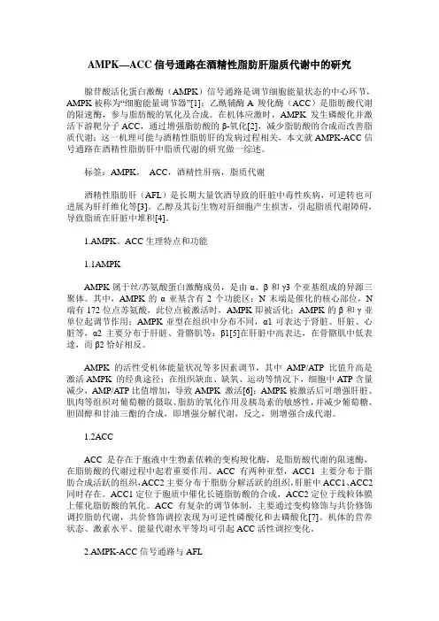 AMPK—ACC信号通路在酒精性脂肪肝脂质代谢中的研究
