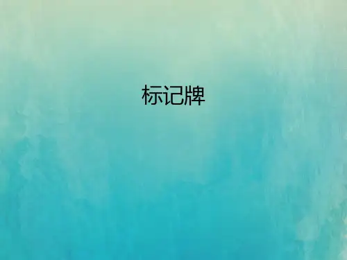 机场运行管理---150422_标记牌
