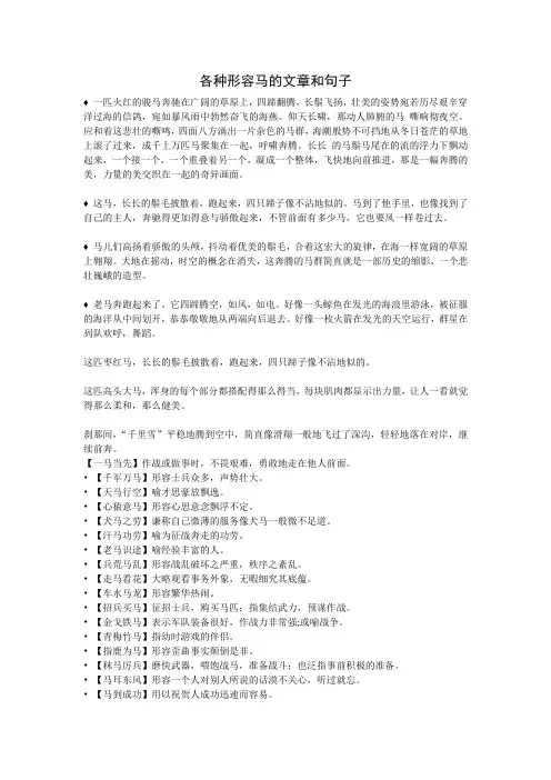 各种形容马的文章和句子