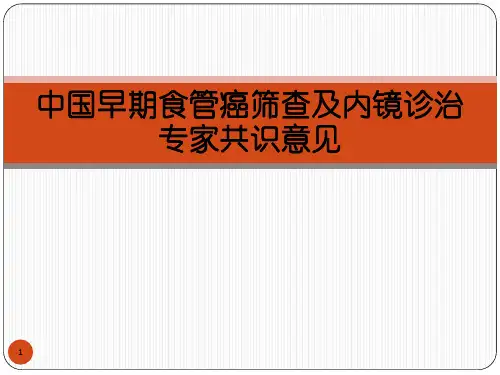 中囯早期食管癌筛查及内镜诊治ppt课件