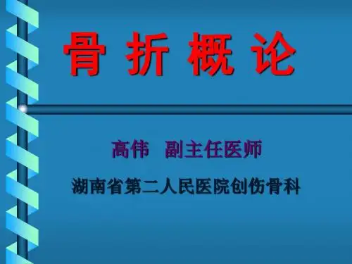 骨折概论