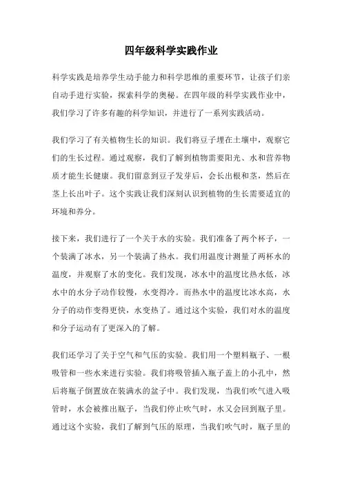 四年级科学实践作业