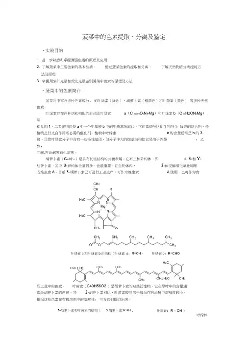 菠菜中色素的提取分离和鉴定(有机化学实验)