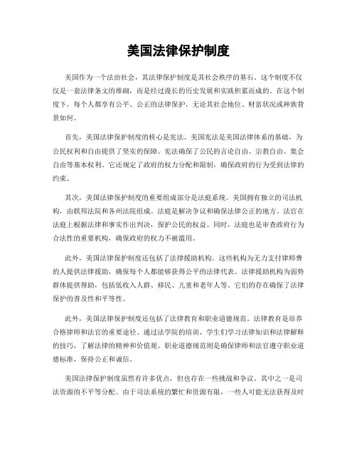 美国法律保护制度