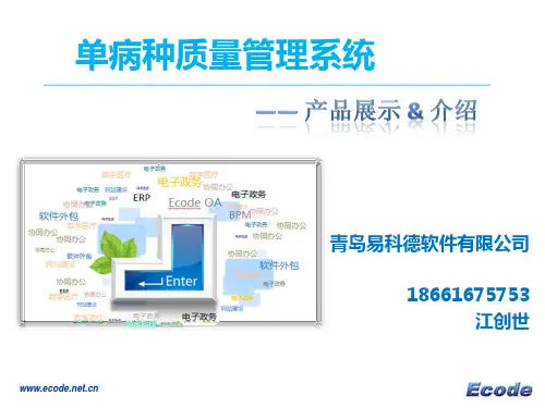 单病种质量管理系统PPT参考幻灯片