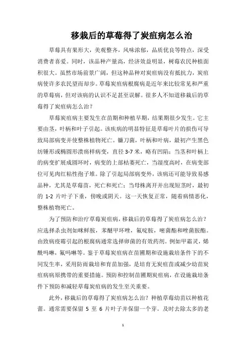 移栽后的草莓得了炭疽病怎么治