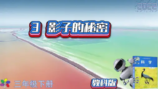 (2022春)教科版科学三年级下册第三单元3影子的秘密PPT课件新版