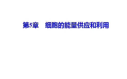 2020秋生物人教版必修第一册课件：第5章第1节降低化学反应活化能的酶第2课时酶的特性