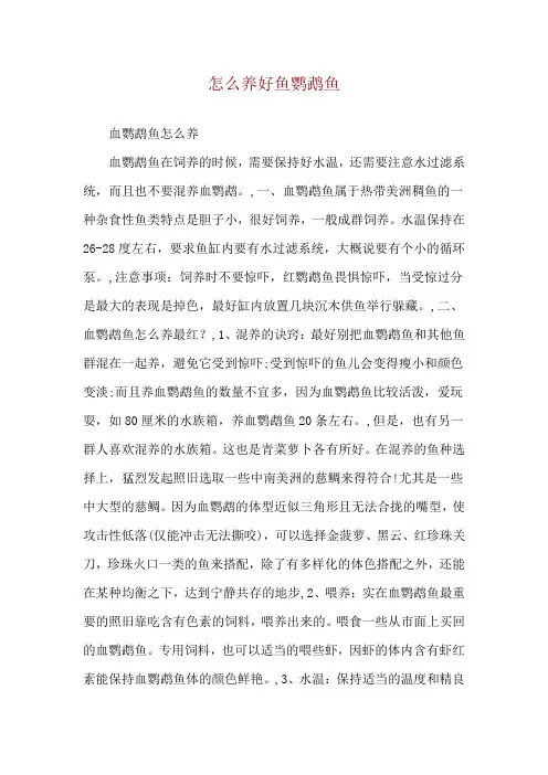 怎么养好鱼鹦鹉鱼
