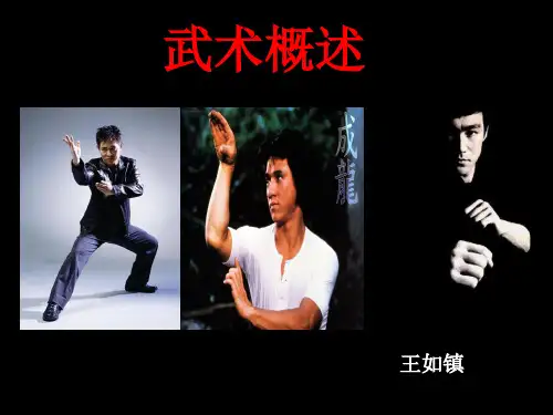 1、武术概述理论