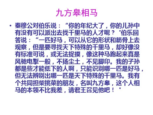 九方皋相马