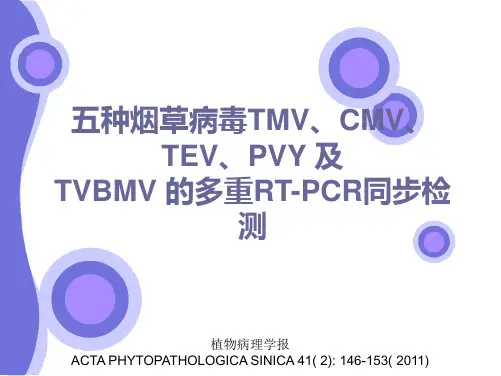 【2019年整理】五种烟草病毒TMV