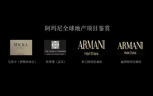 阿玛尼地产项目介绍