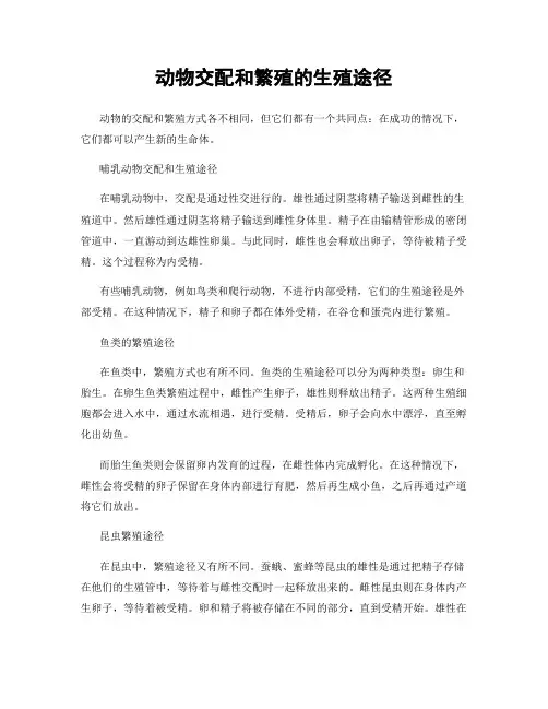 动物交配和繁殖的生殖途径