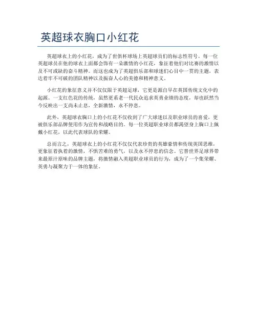 英超球衣胸口小红花