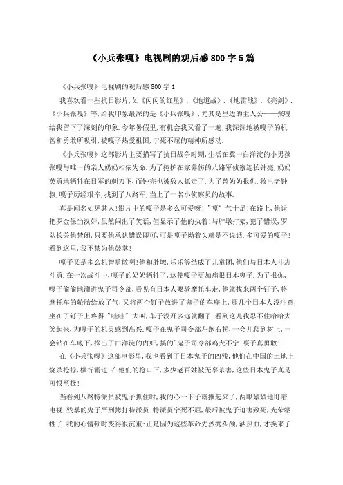 《小兵张嘎》电视剧的观后感800字5篇