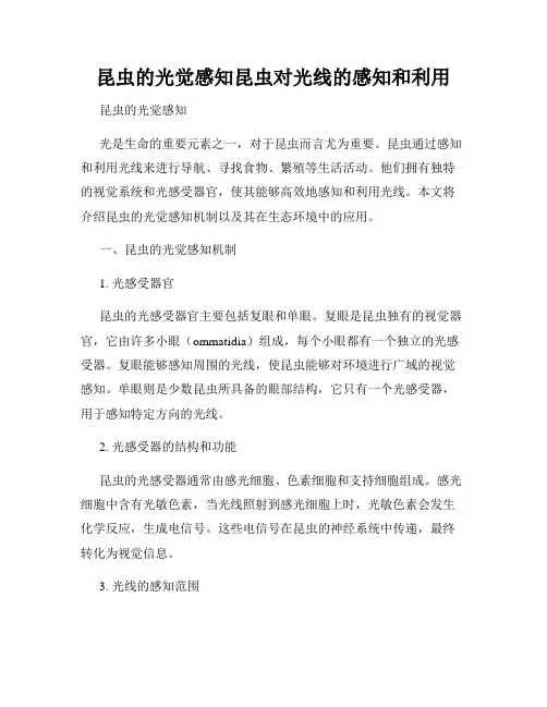昆虫的光觉感知昆虫对光线的感知和利用