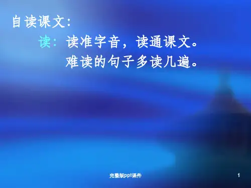 尊严ppt课件