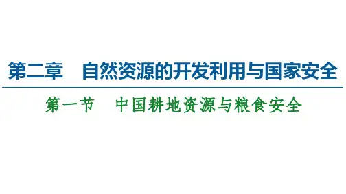 第节 中国耕地资源与粮食安全 课PPT-中图版高中地理选择性必修PPT
