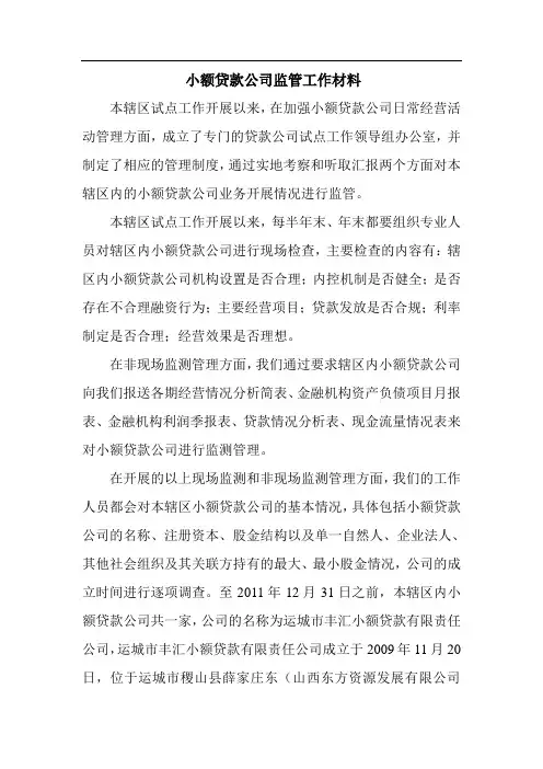 小额贷款公司监管工作材料
