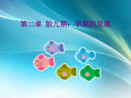 胎儿期：孕期的发展ppt课件