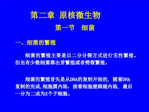 第二章 原核微生物