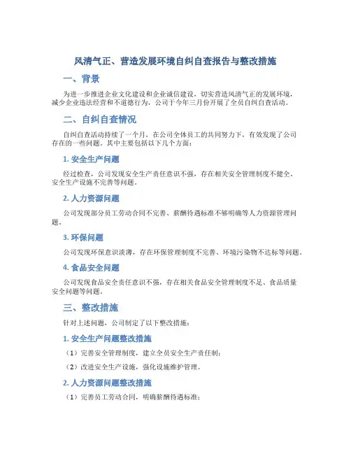 风清气正、营造发展环境自纠自查报告与整改措施