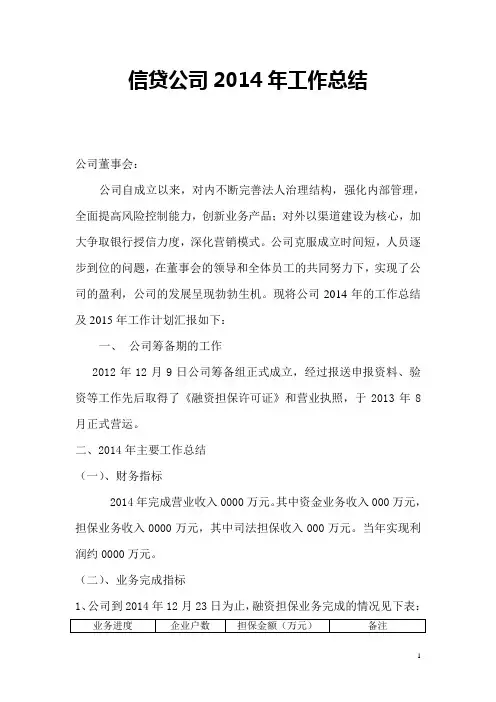 信贷公司2014年工作总结