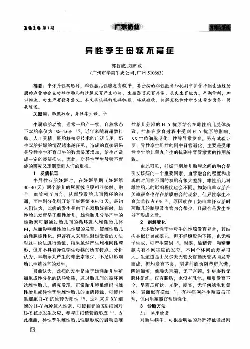 异性孪生母犊不育症