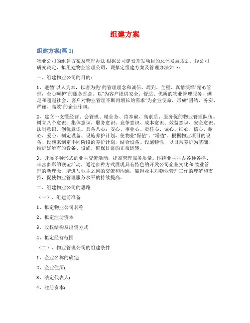 组建方案范文