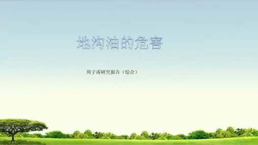 地沟油的研究报告