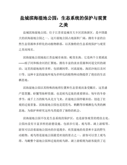 盐城滨海湿地公园：生态系统的保护与观赏之美
