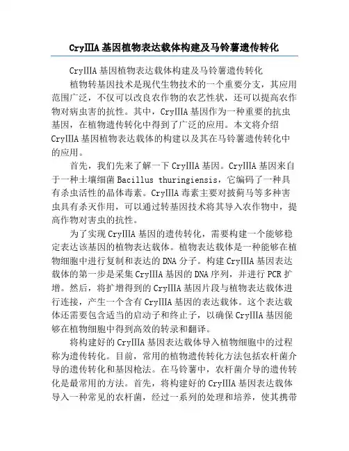 CryⅢA基因植物表达载体构建及马铃薯遗传转化