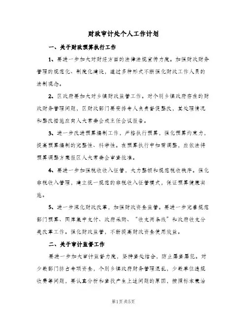 财政审计处个人工作计划(三篇)