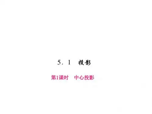 (北师大版)九年级数学上册课件：5.1.1  中心投影
