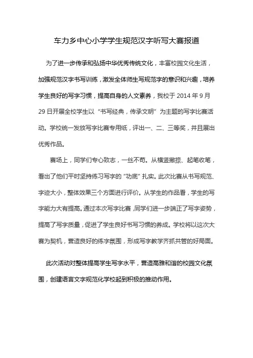 刘丹汉字书写大赛新闻稿
