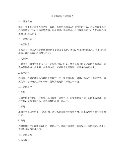 养殖鹅可行性研究报告
