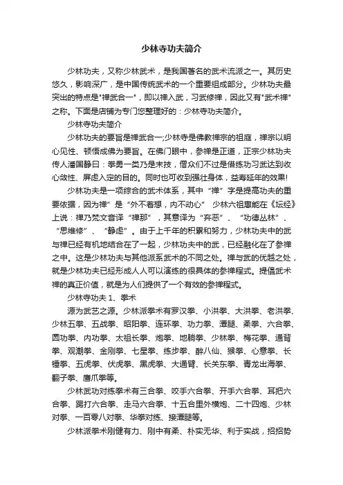 少林寺功夫简介