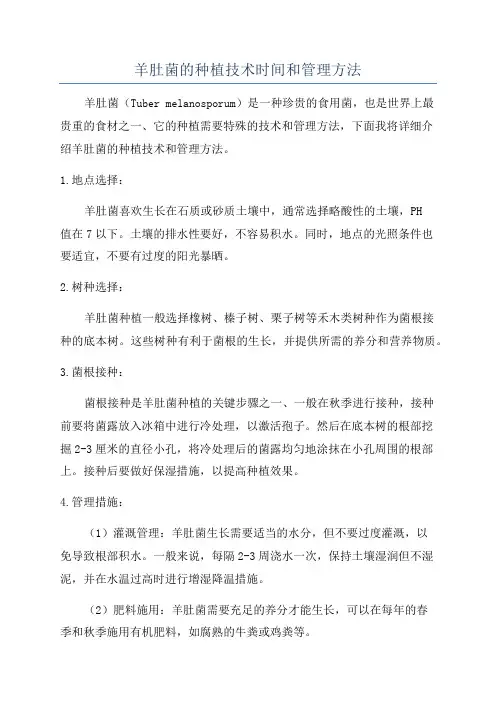 羊肚菌的种植技术时间和管理方法