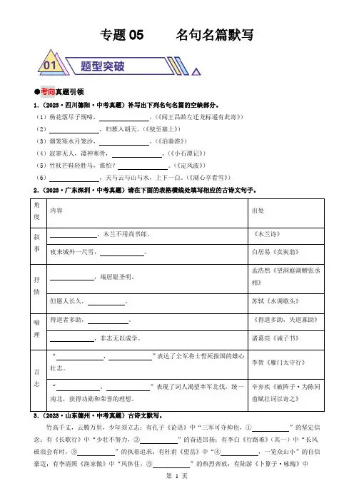 专题05     名句名篇默写(原卷版)