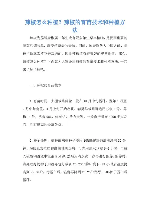 辣椒怎么种植？辣椒的育苗技术和种植方法
