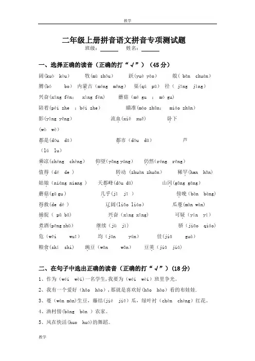 二年级上册拼音语文拼音专项测试题