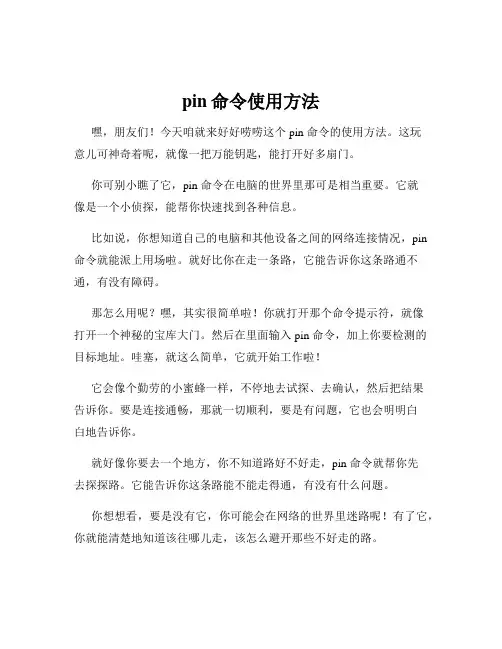 pin命令使用方法
