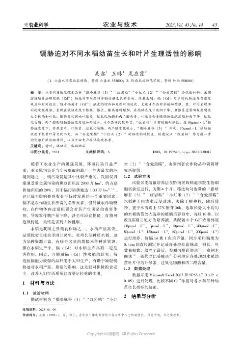 镉胁迫对不同水稻幼苗生长和叶片生理活性的影响
