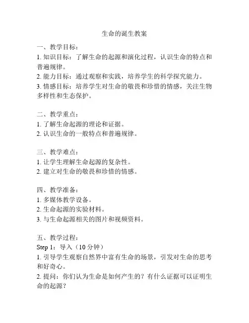 生命的诞生教案